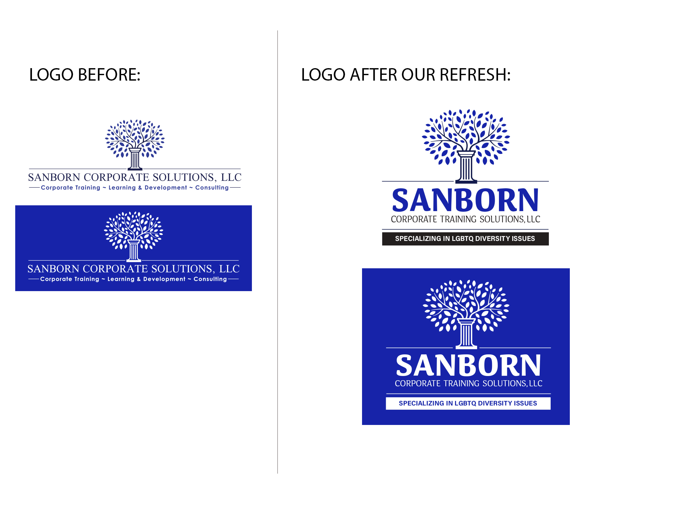 SANBORN SOLUTIONS LOGO